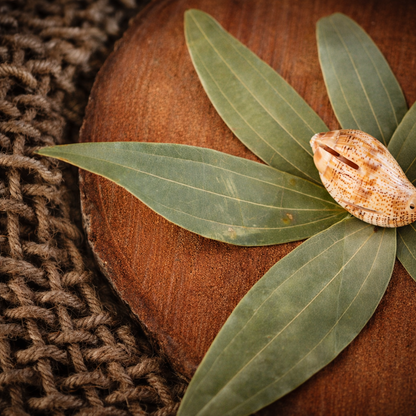 Essentrea Premium Bay Leaves 50g