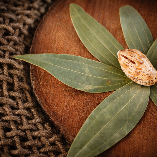 Essentrea Premium Bay Leaves 50g