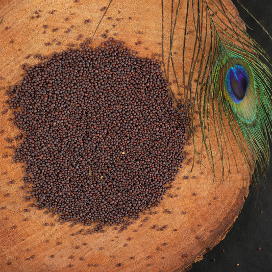 Essentrea Original Black Mustard – 100g