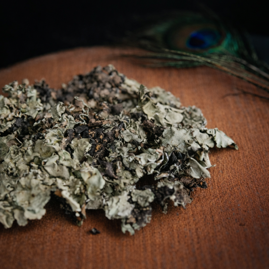 Essentrea Kalpasi (Black Stone Flower) – 25g