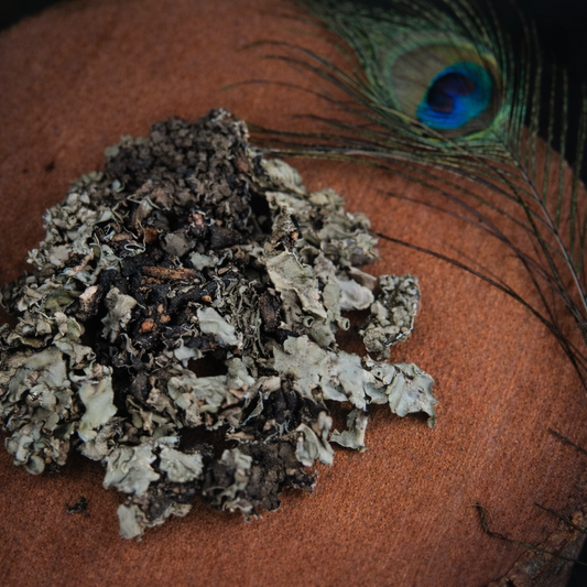 Essentrea Kalpasi (Black Stone Flower) – 25g