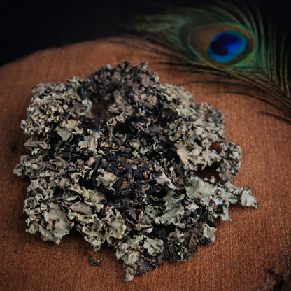 Essentrea Kalpasi (Black Stone Flower) – 25g