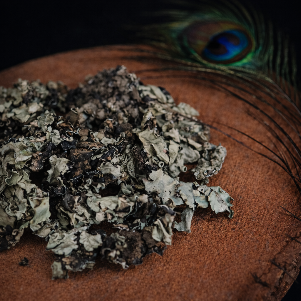 Essentrea Kalpasi (Black Stone Flower) – 25g